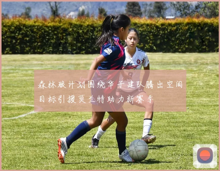 森林狼计划围绕华子建队腾出空间目标引援莫兰特助力新赛季