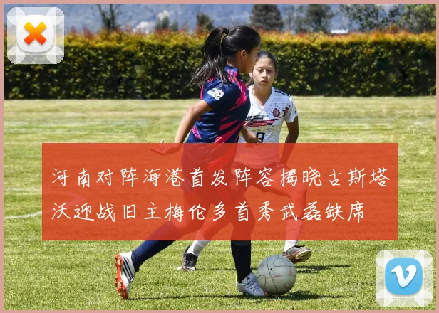 河南对阵海港首发阵容揭晓古斯塔沃迎战旧主梅伦多首秀武磊缺席