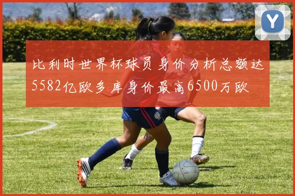 比利时世界杯球员身价分析总额达5582亿欧多库身价最高6500万欧